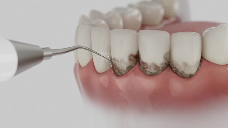 Reliable Dental contractor in D'Iberville, MS by Dentist Open Now